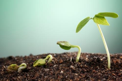 MagLoft Plans for Growth