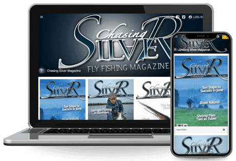 Chasing Silver Magazine