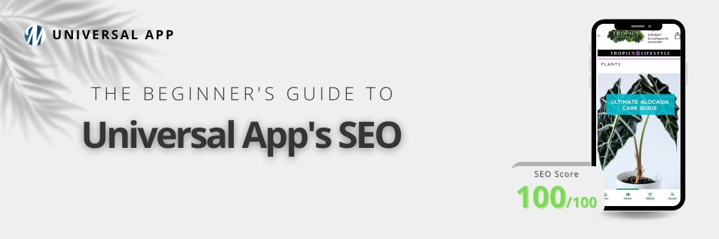 The Beginner's Guide to Universal App's SEO magloft