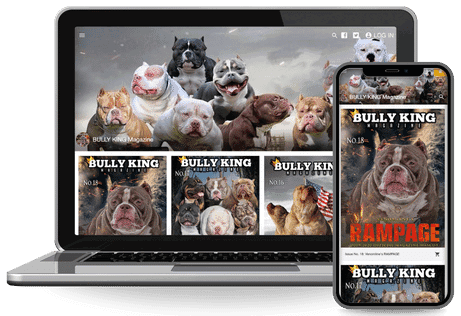 Bully King Magazine